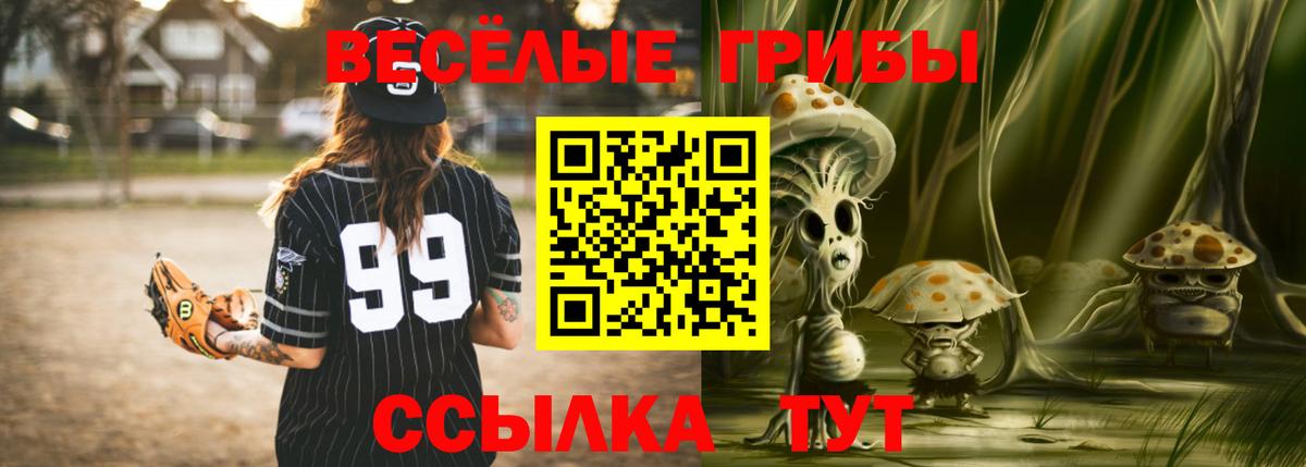 Псилоцибиновые грибы Psilocybe Новоалтайск